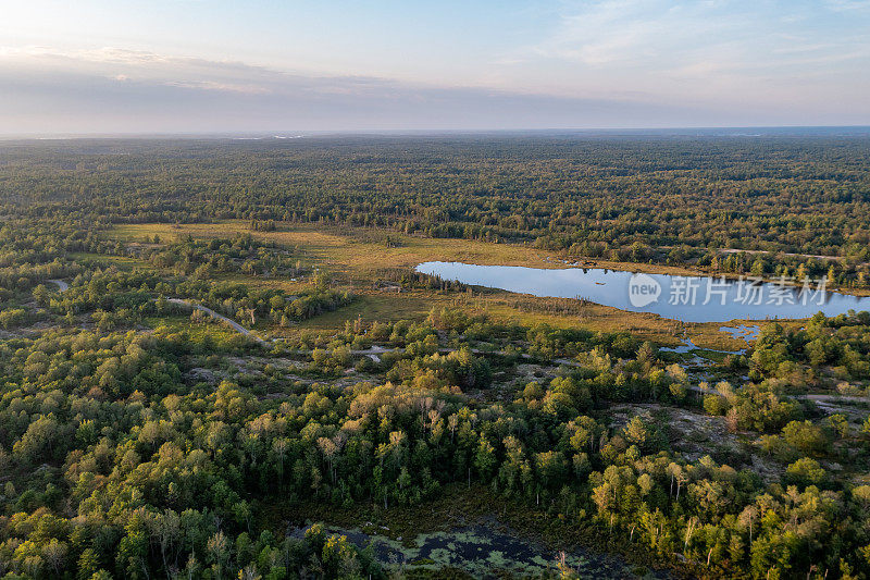 黄昏时的Muskoka Torrance Barrens Dark-Sky保护区，Gravenhurst，加拿大